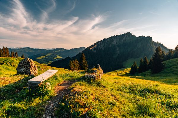 Bergblick